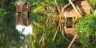 Kerala Is Famous For Backwater Cruises