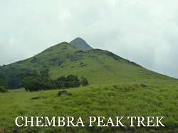 Chembra Peak Trek
